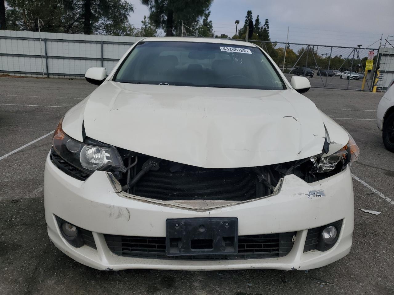 2010 ACURA TSX - Image 5