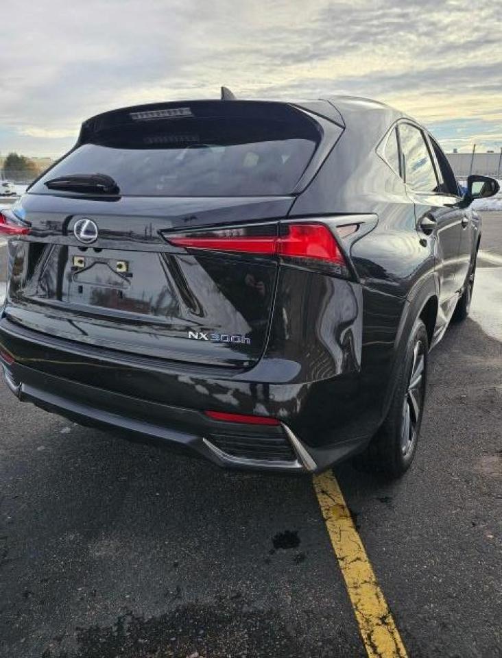 2020 LEXUS NX 300H - Image 4