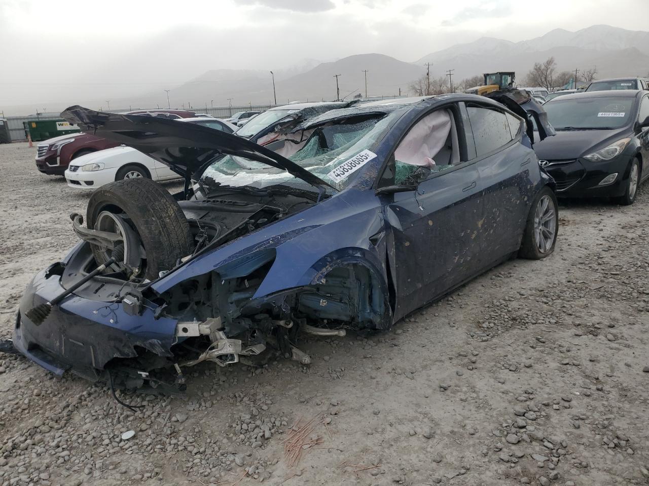 2023 TESLA MODEL Y