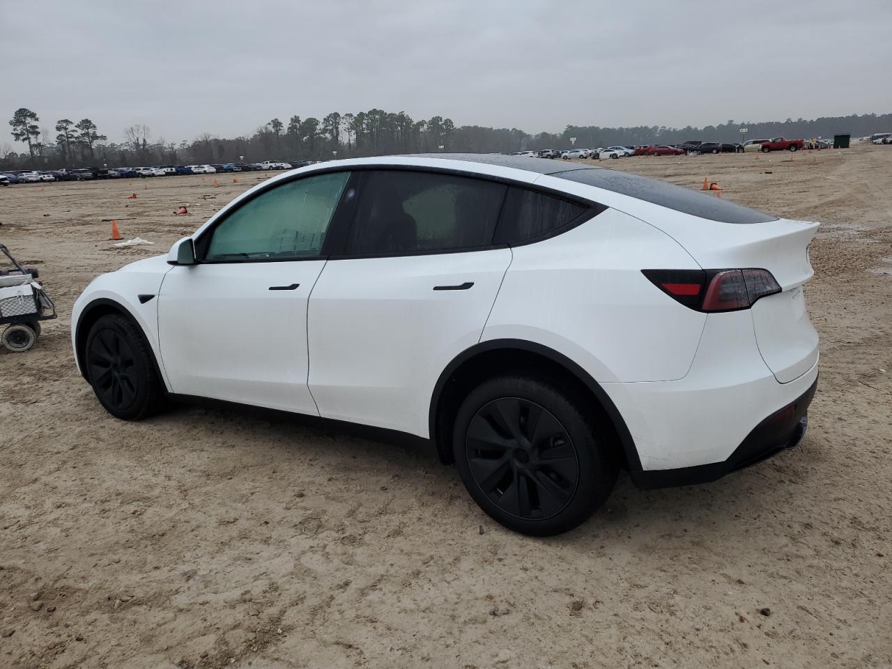 2025 TESLA MODEL Y - Image 2
