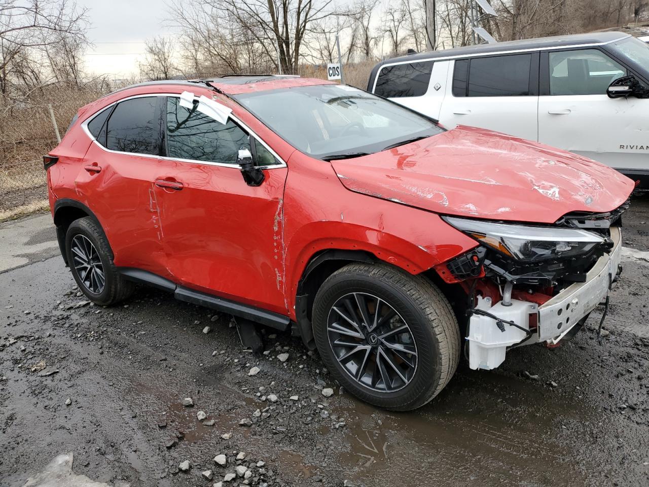 2024 LEXUS NX 350H BA - Image 4