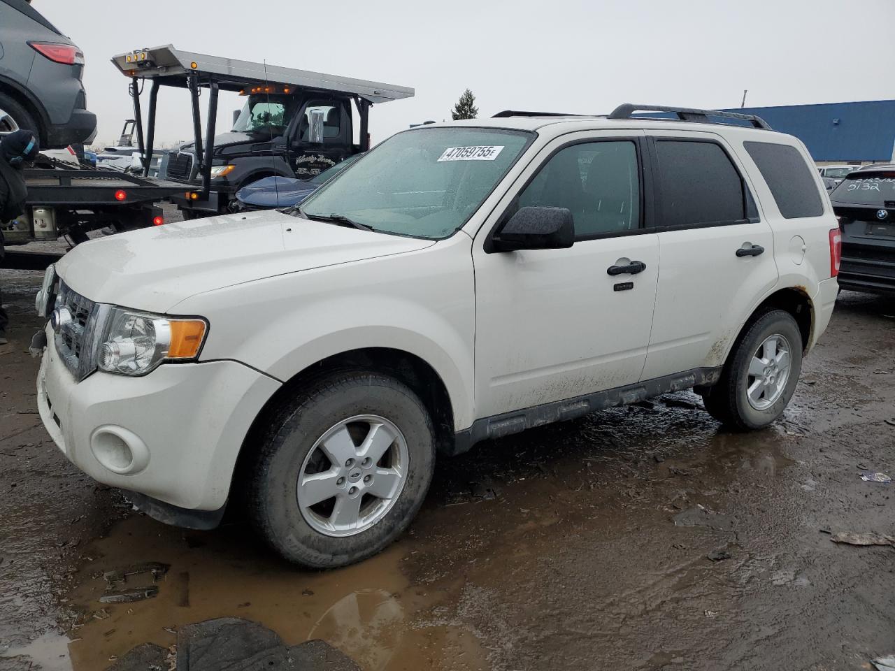 2012 FORD ESCAPE XLT