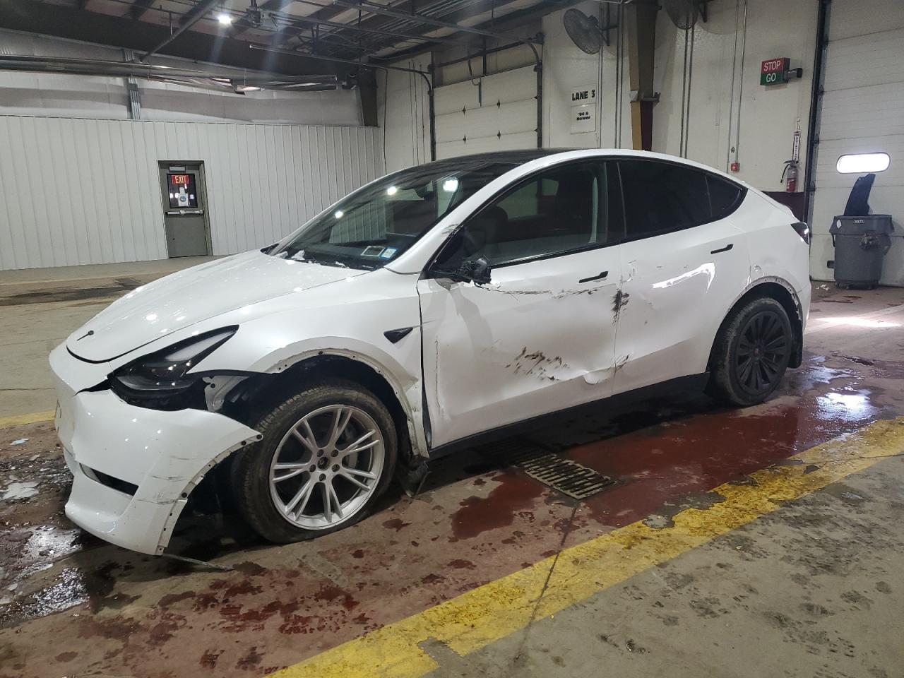 2024 TESLA MODEL Y