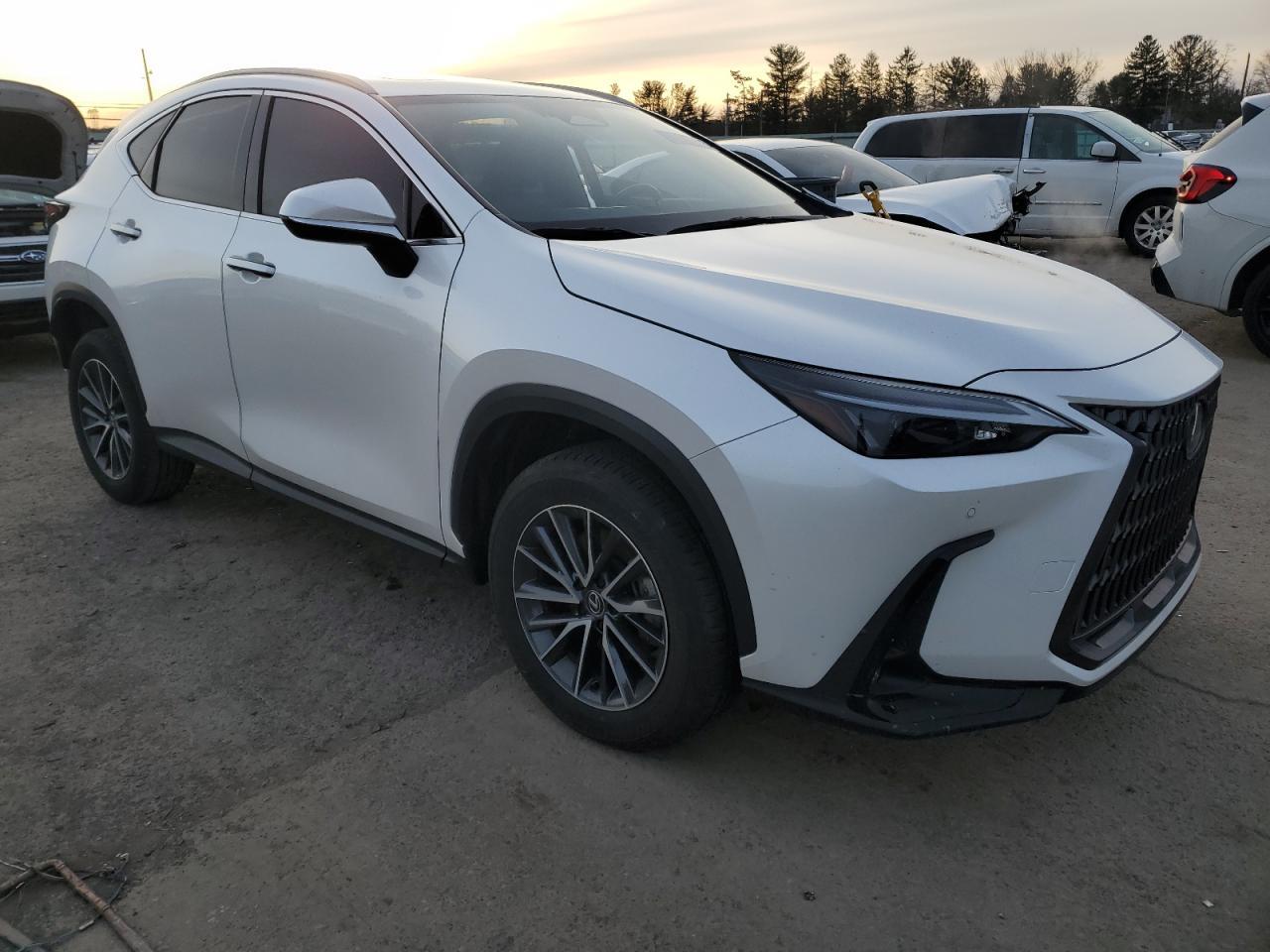 2024 LEXUS NX 350H BA - Image 4