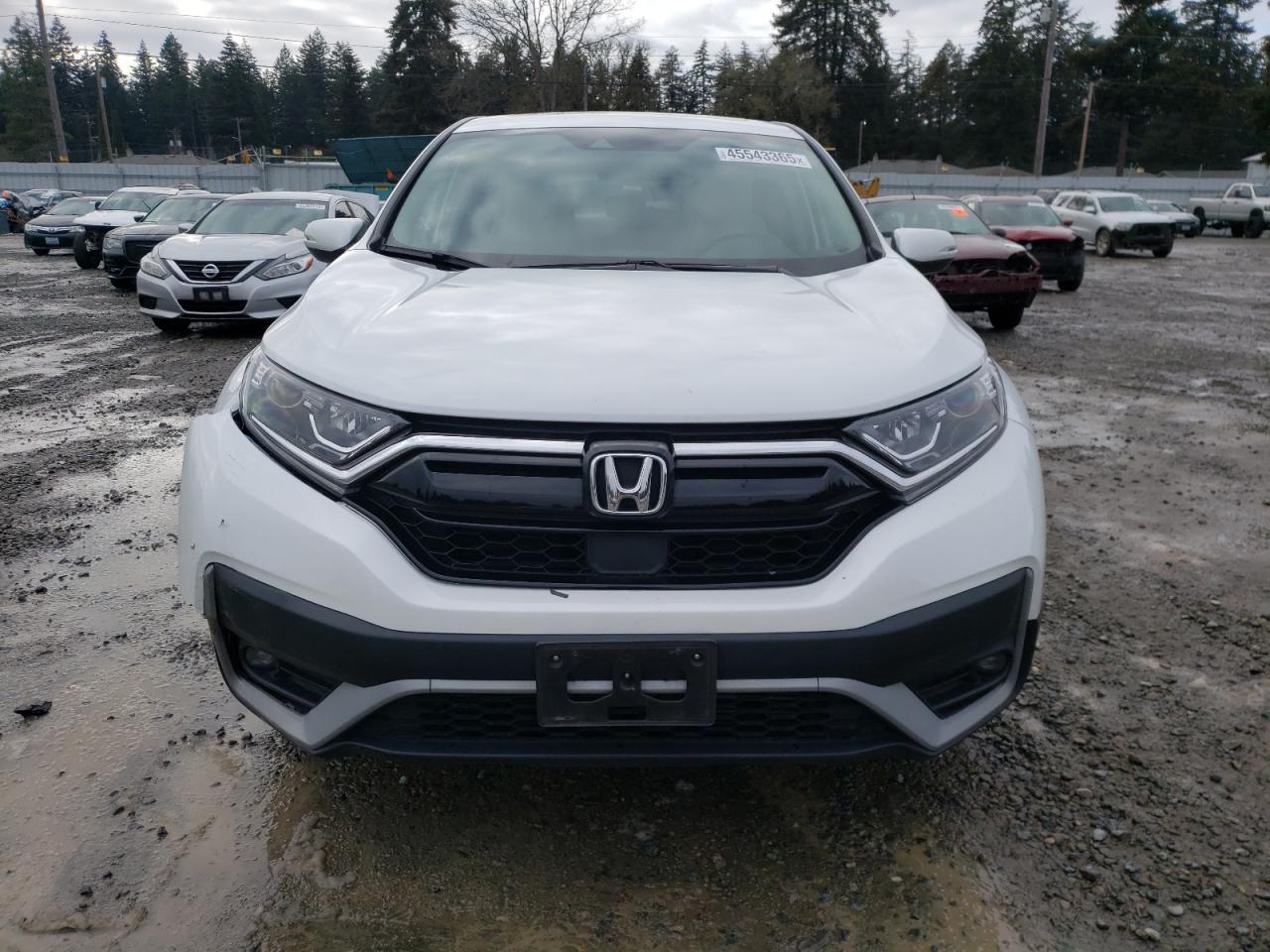 2020 HONDA CR-V EXL - Image 5