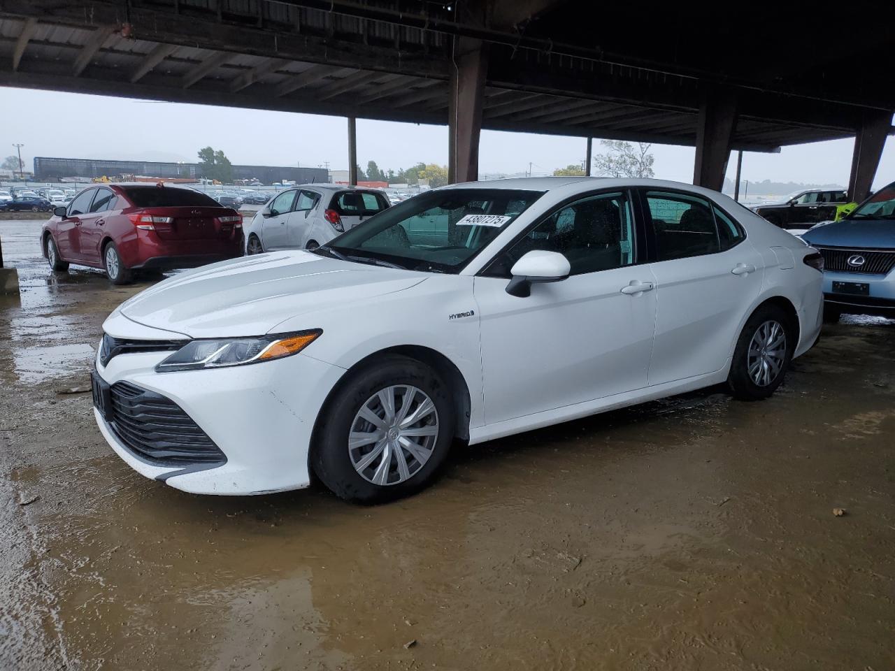 2020 TOYOTA CAMRY LE