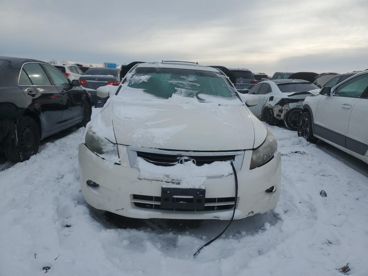 2010 HONDA ACCORD EXL - Image 5