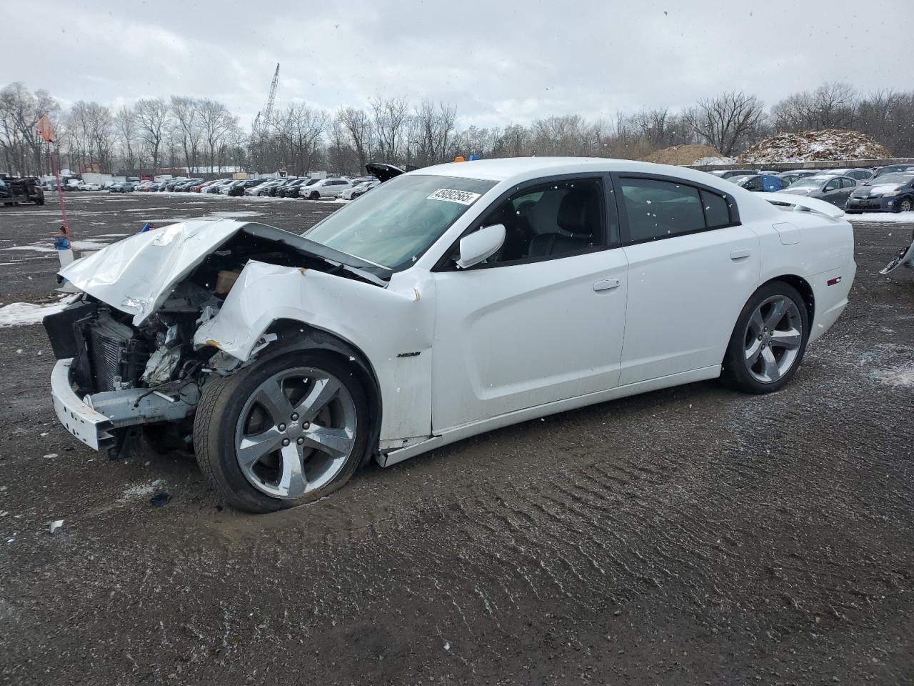 2014 DODGE CHARGER R/