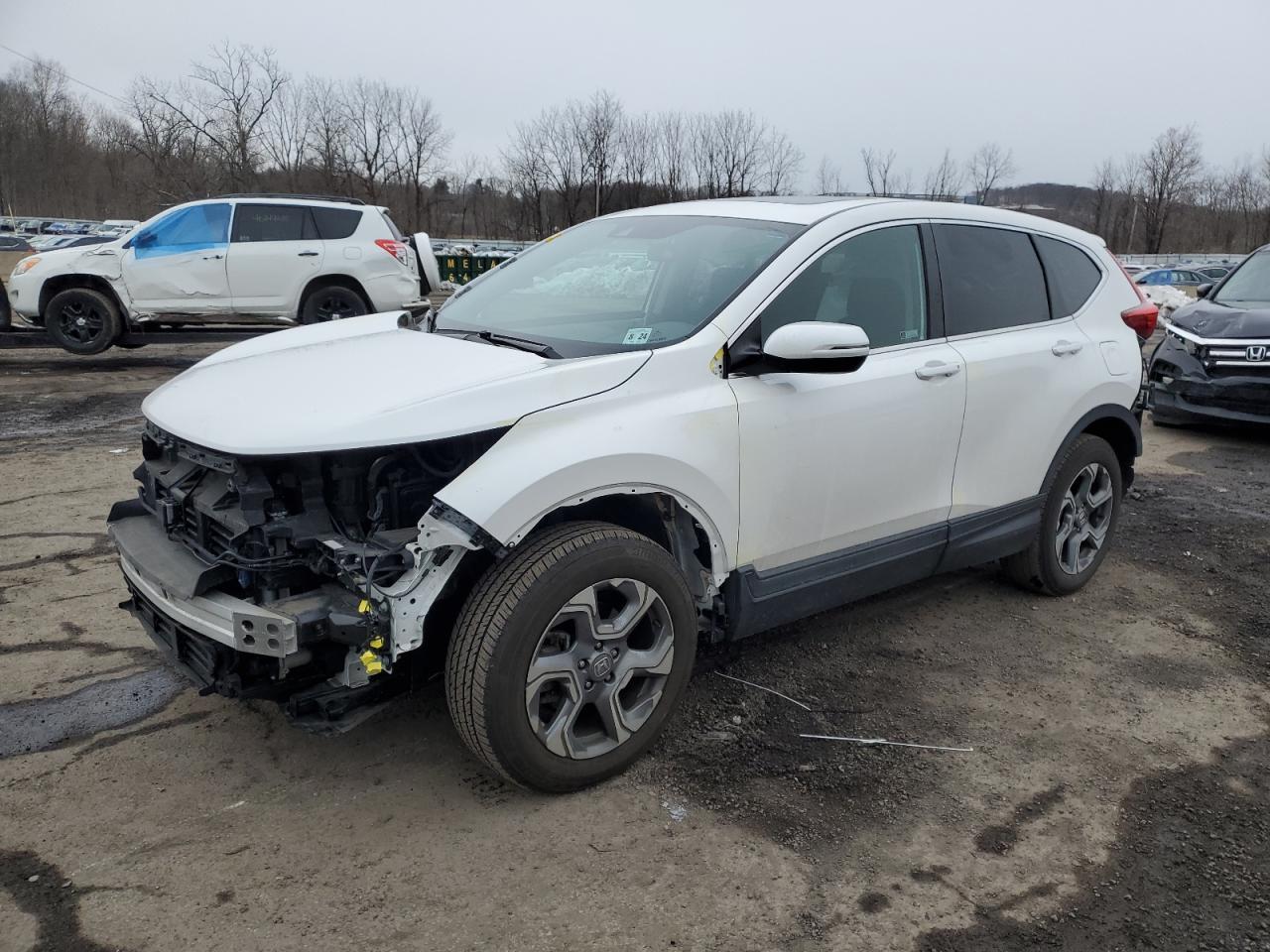 2019 HONDA CR-V EX