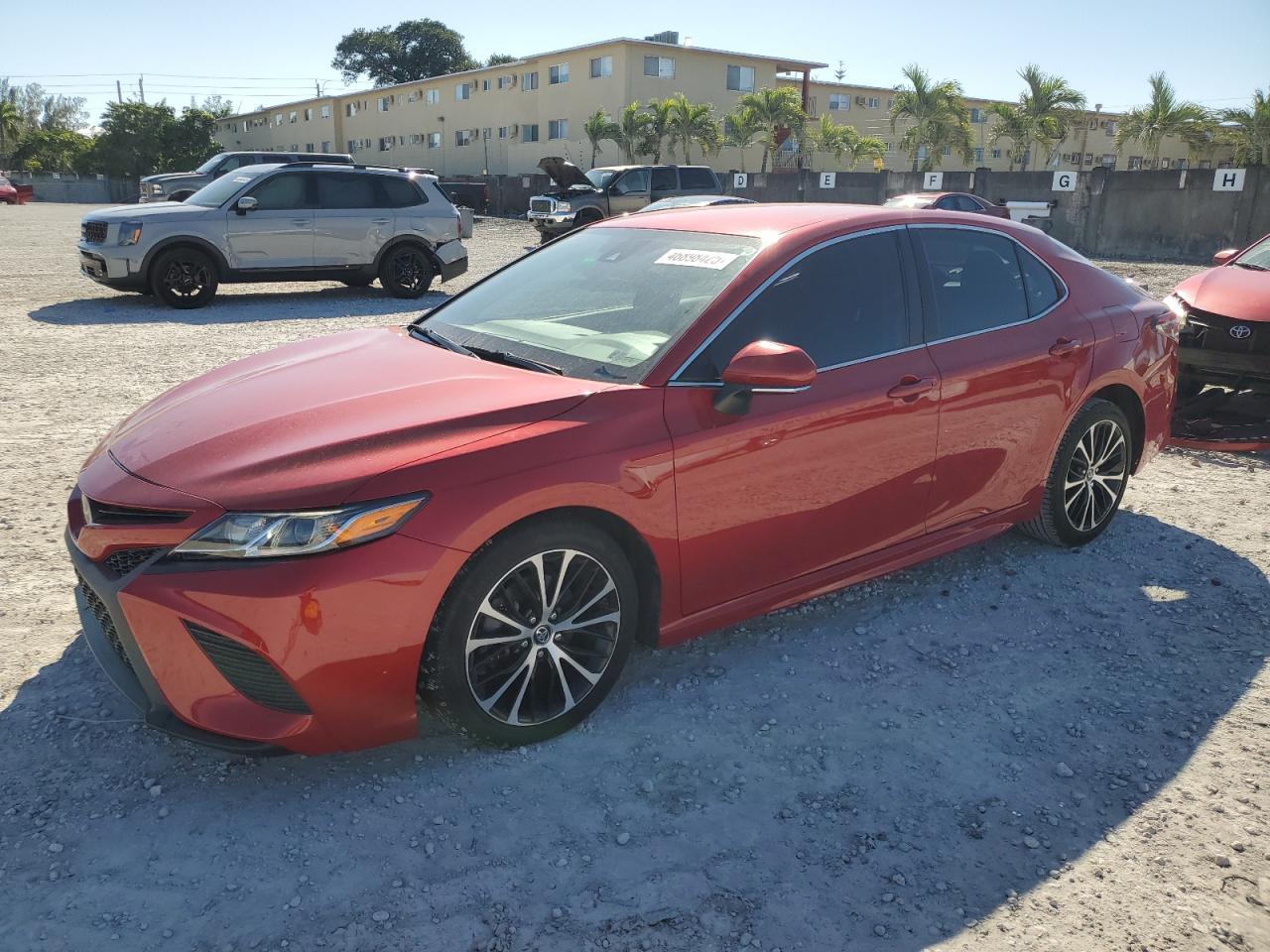 2019 TOYOTA CAMRY L