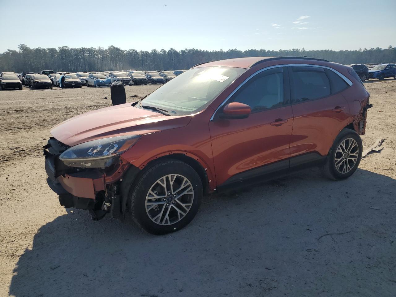 2020 FORD ESCAPE SEL