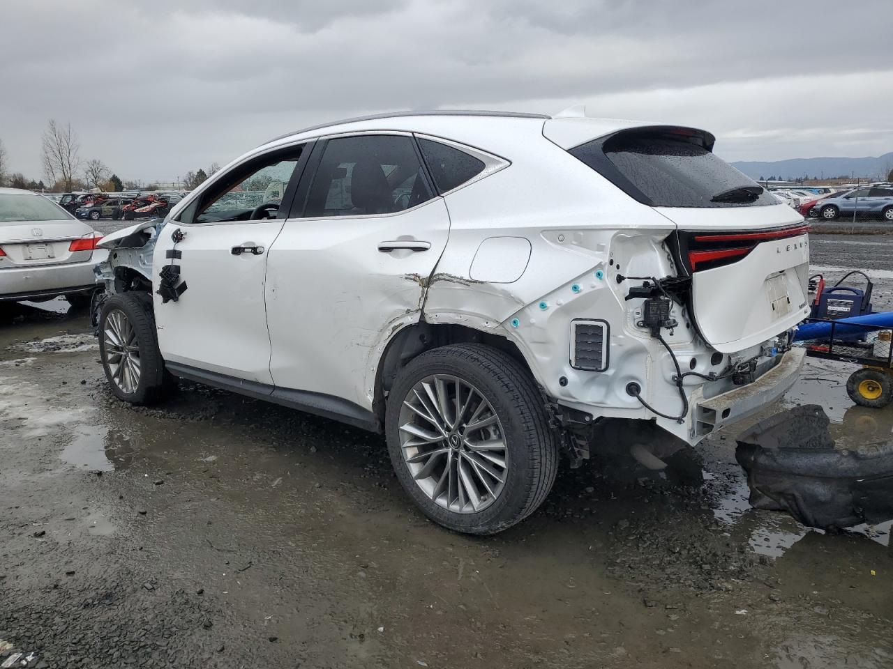 2023 LEXUS NX 350H - Image 2