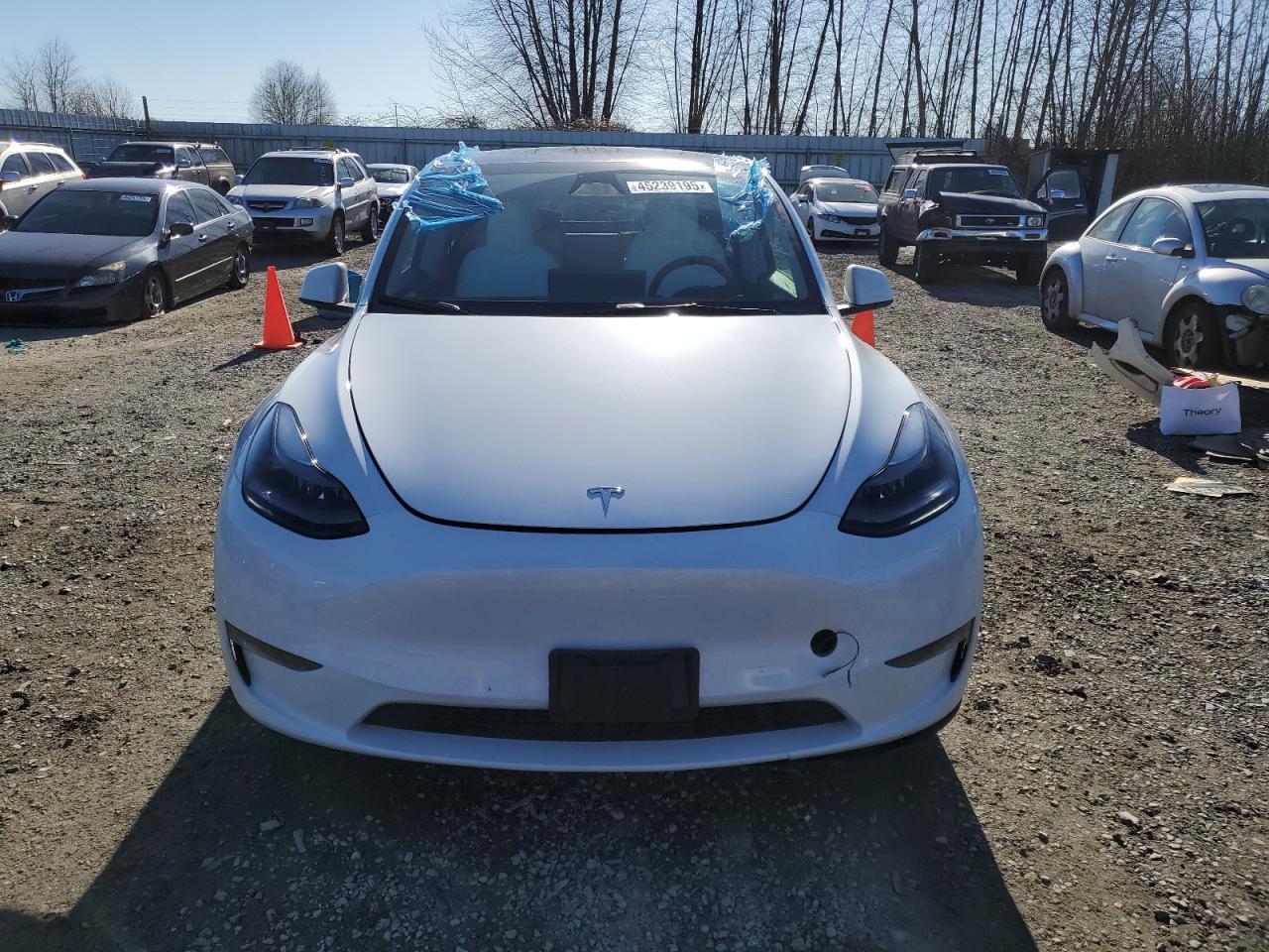 2023 TESLA MODEL Y - Image 5