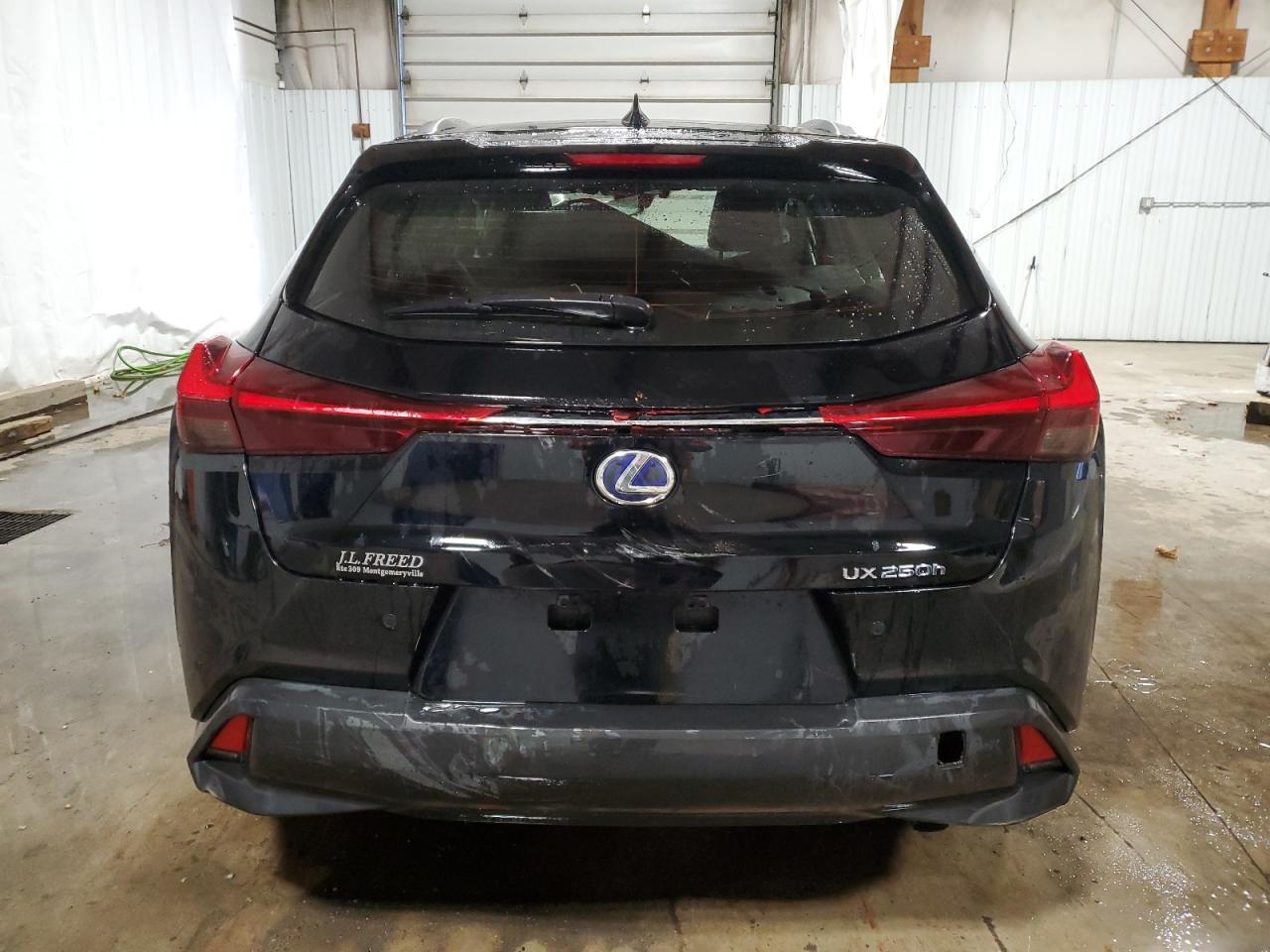 2021 LEXUS UX 250H - Фото 6