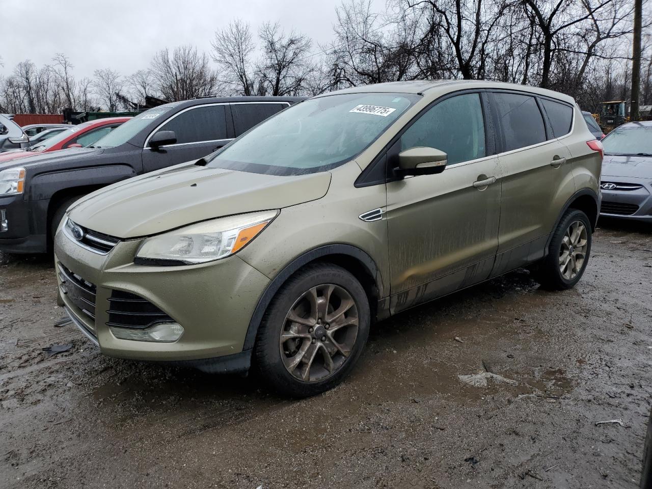 2013 FORD ESCAPE SEL car image