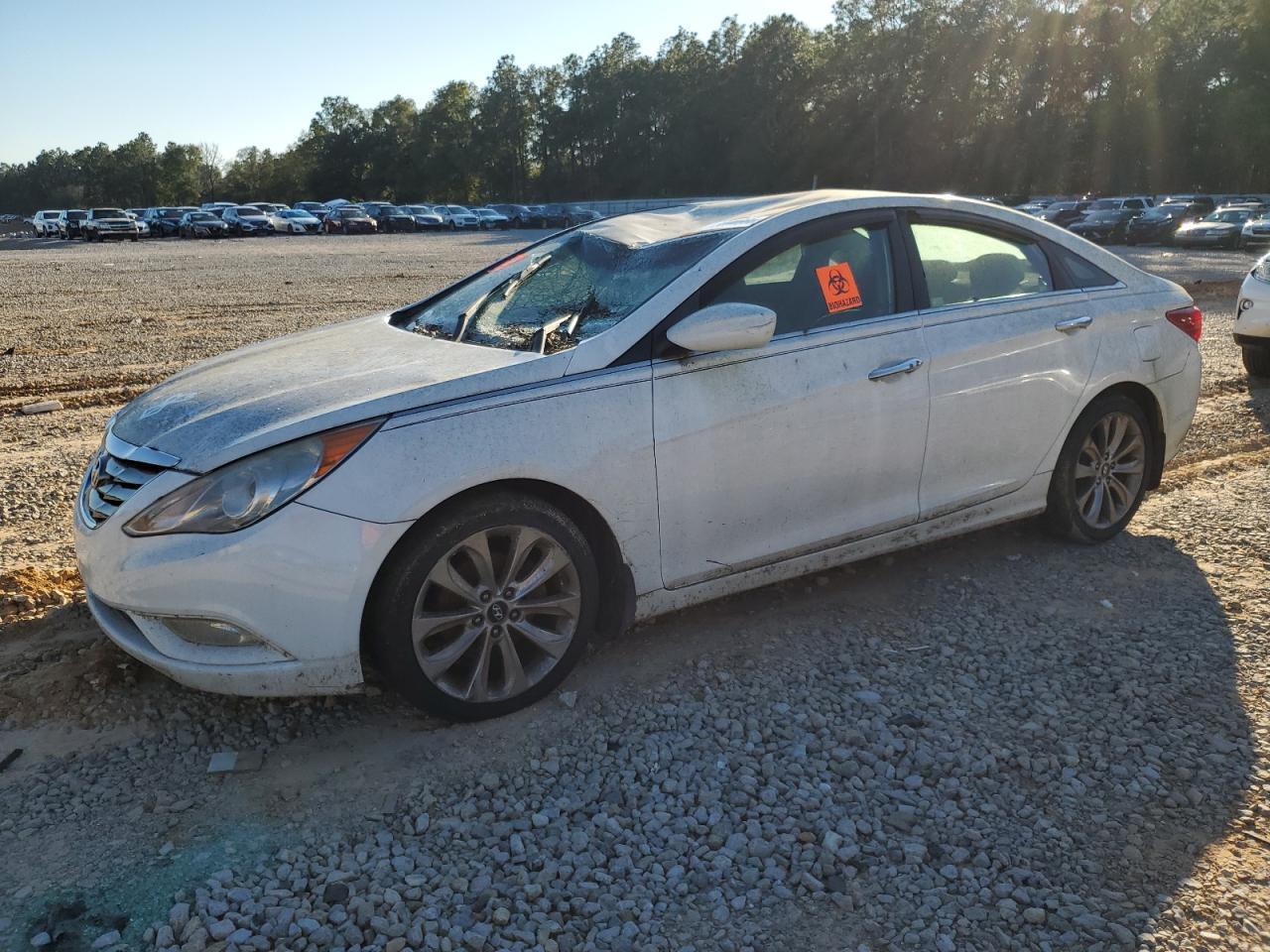 2013 HYUNDAI SONATA SE