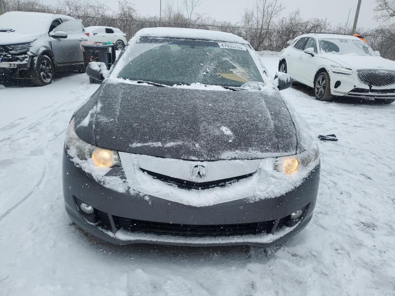 2010 ACURA TSX - Image 5