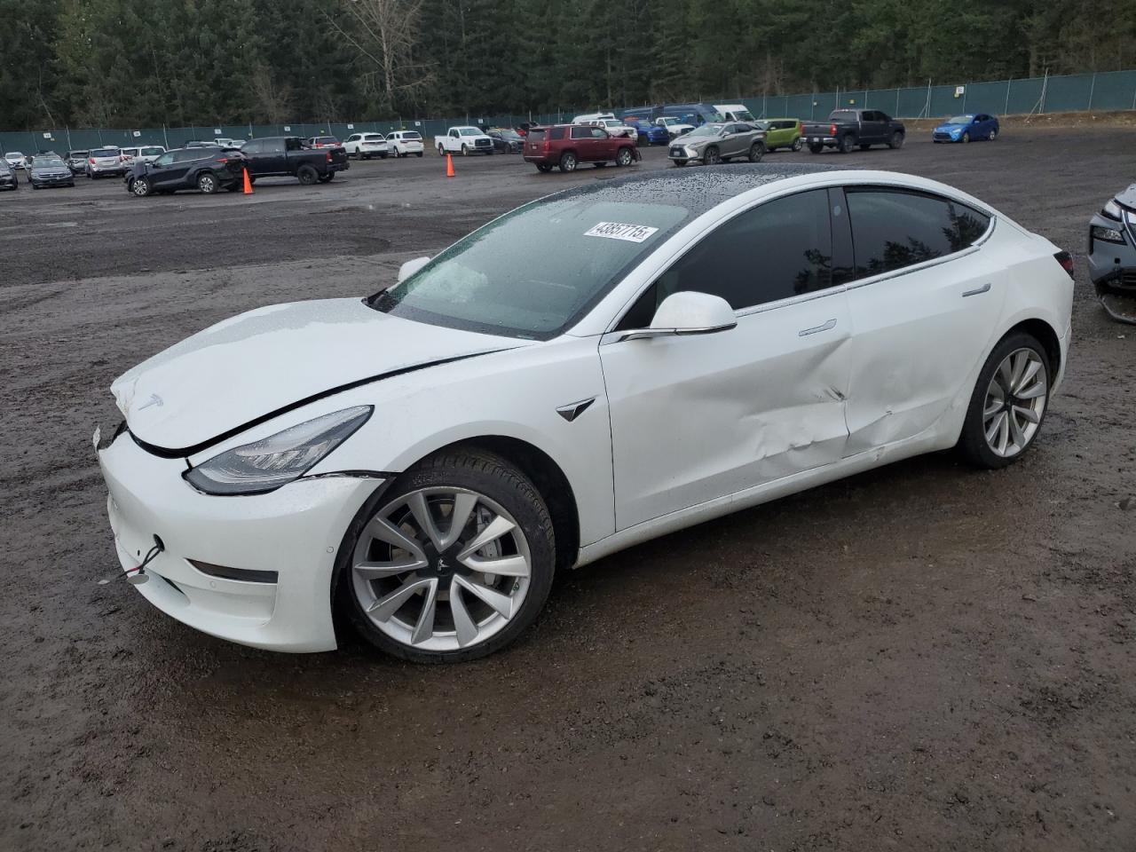 2019 TESLA MODEL 3