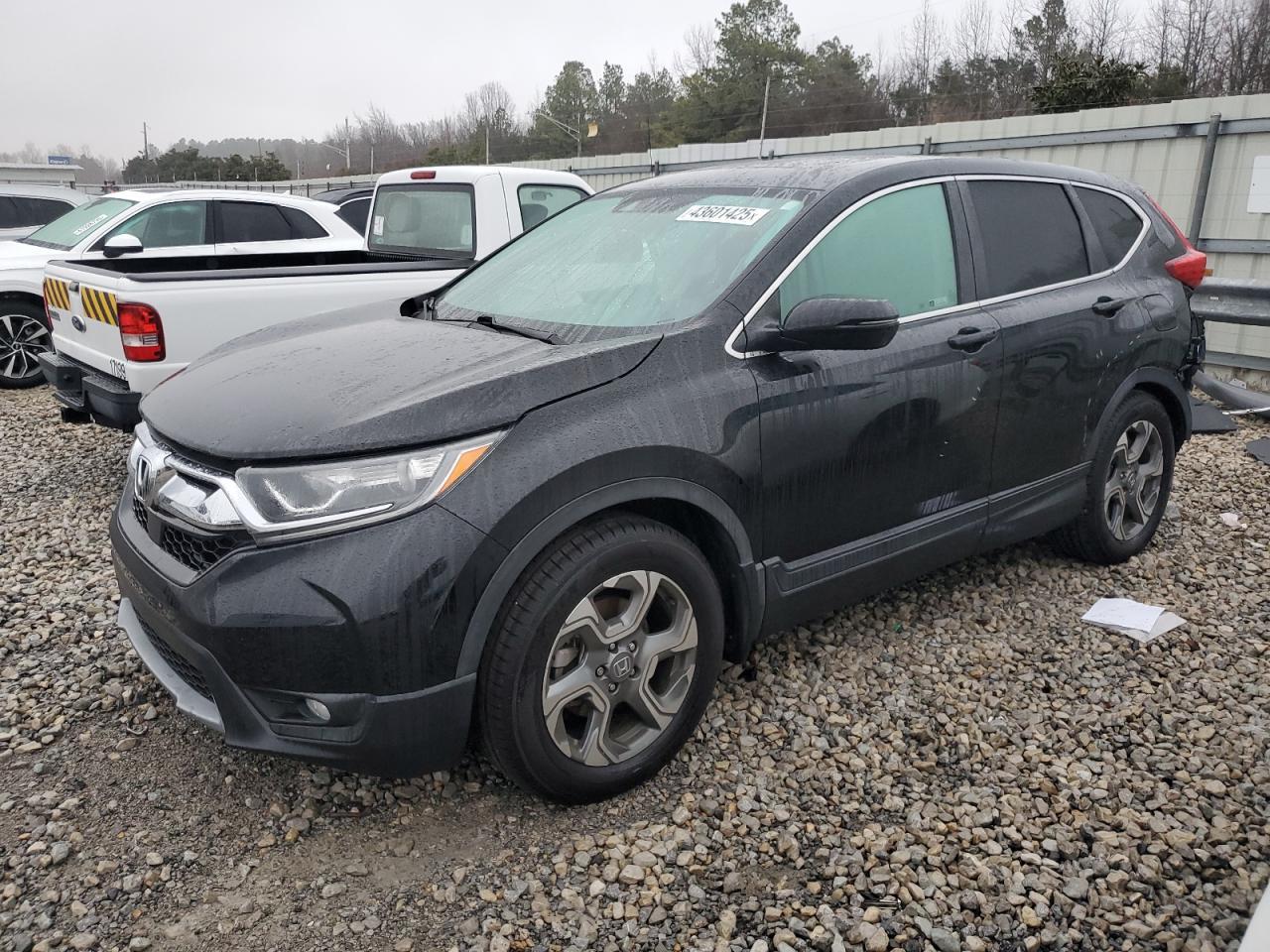 2019 HONDA CR-V EXL