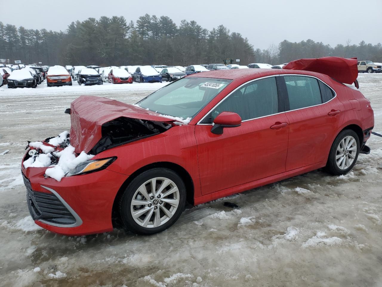 2024 TOYOTA CAMRY LE