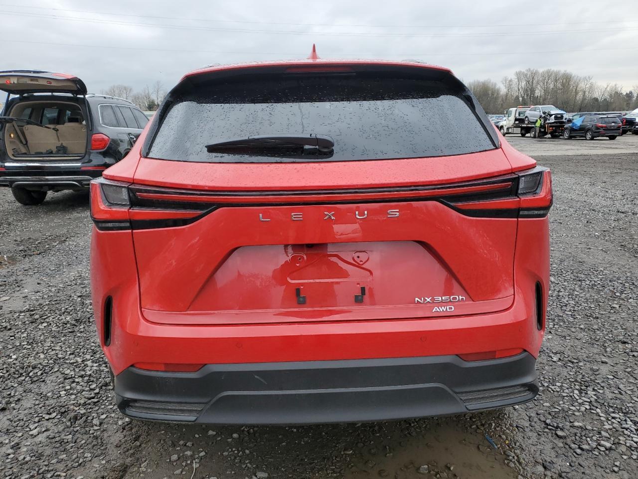 2024 LEXUS NX 350H BA - Фото 6