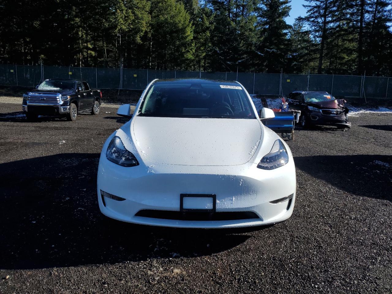 2023 TESLA MODEL Y - Фото 5