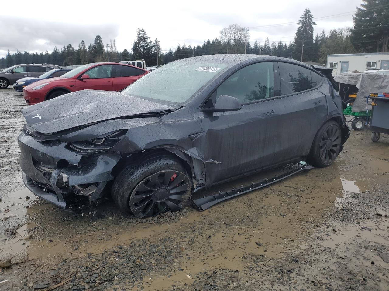 2024 TESLA MODEL Y car image