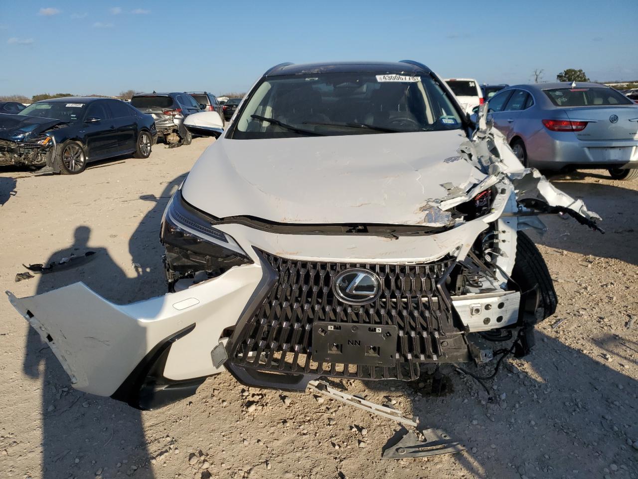 2024 LEXUS NX 350H BA - Image 5