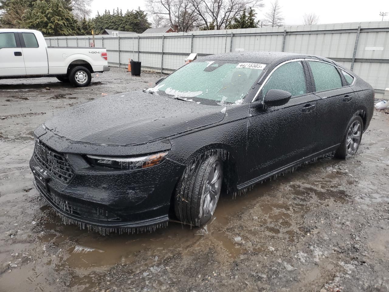 2024 HONDA ACCORD EX