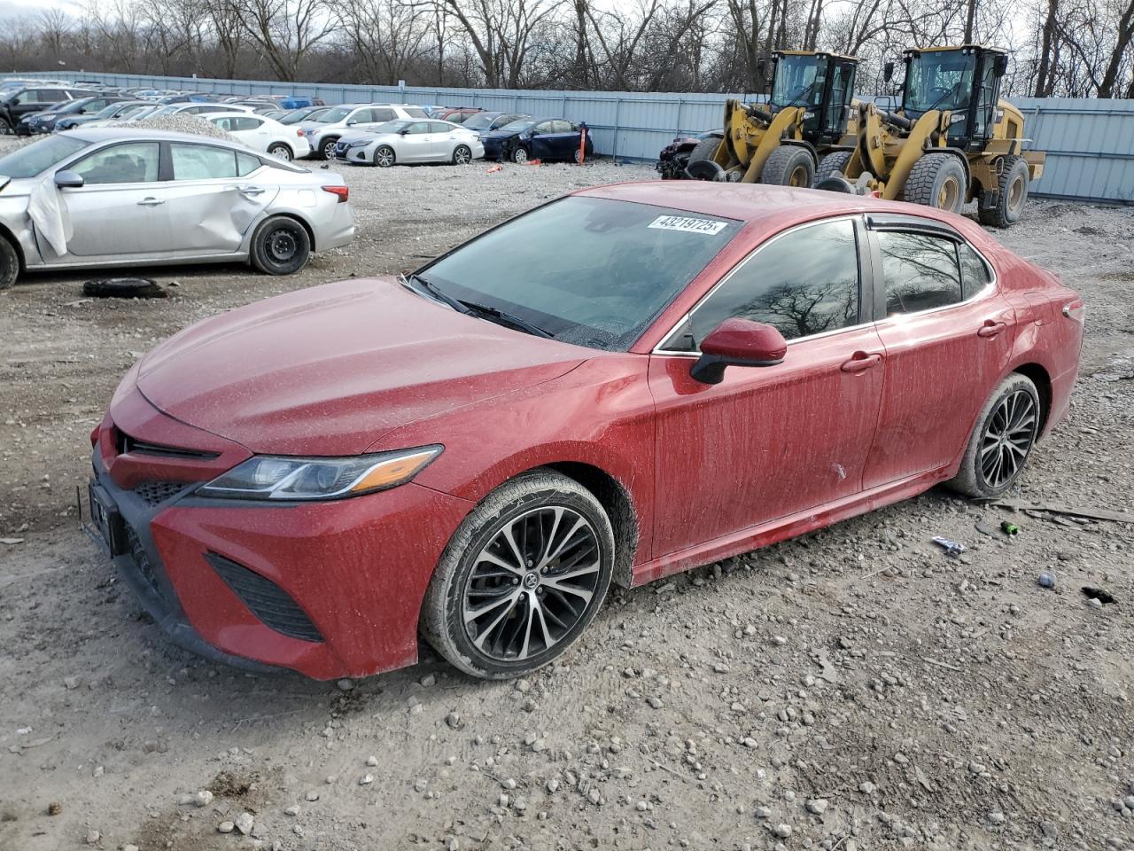 2019 TOYOTA CAMRY L