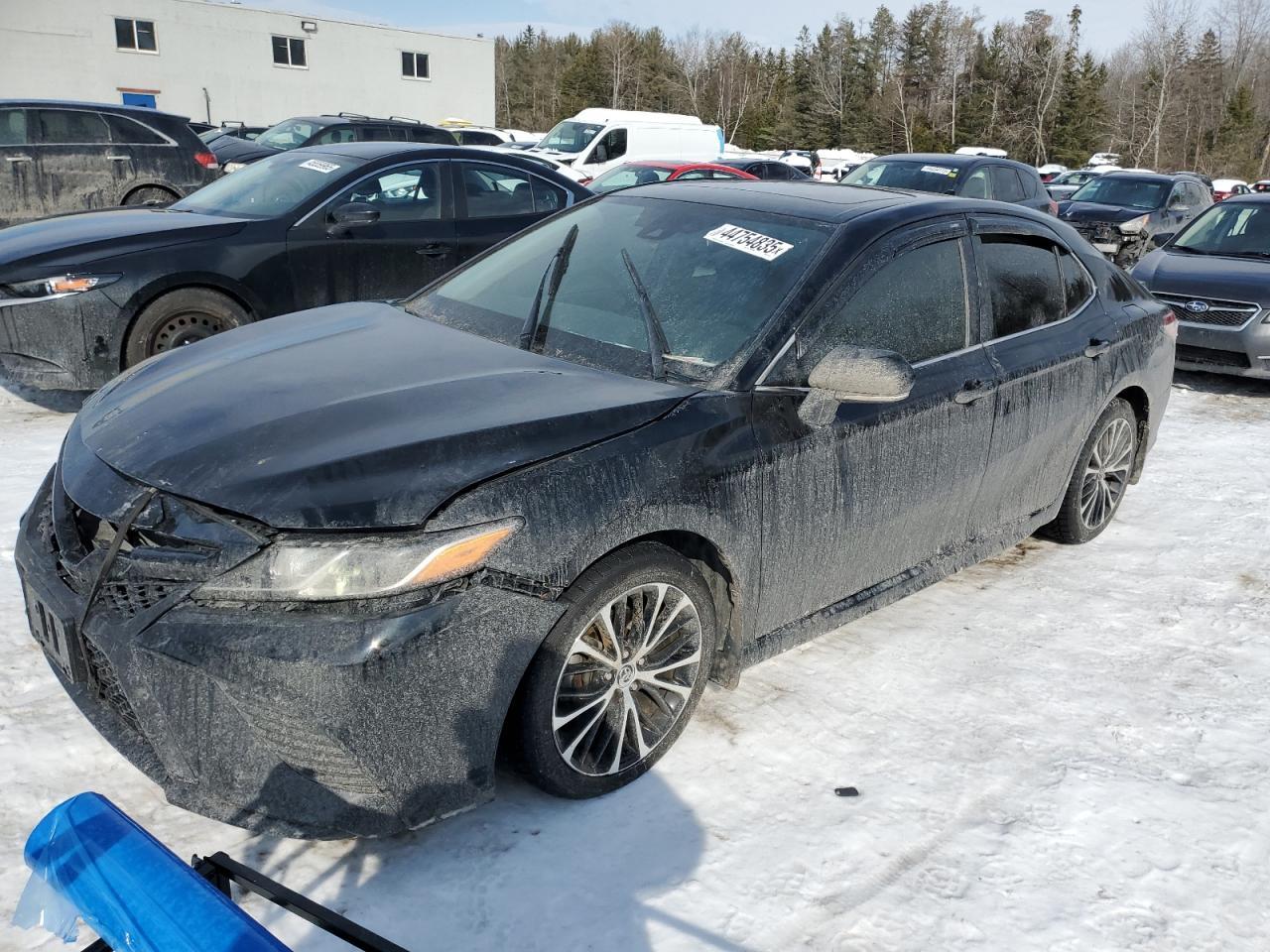 2019 TOYOTA CAMRY L