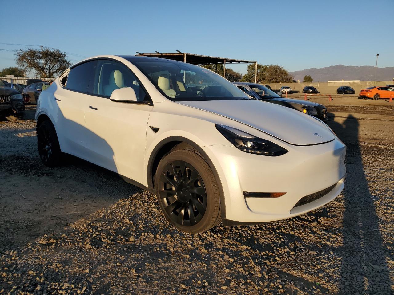 2023 TESLA MODEL Y - Image 4
