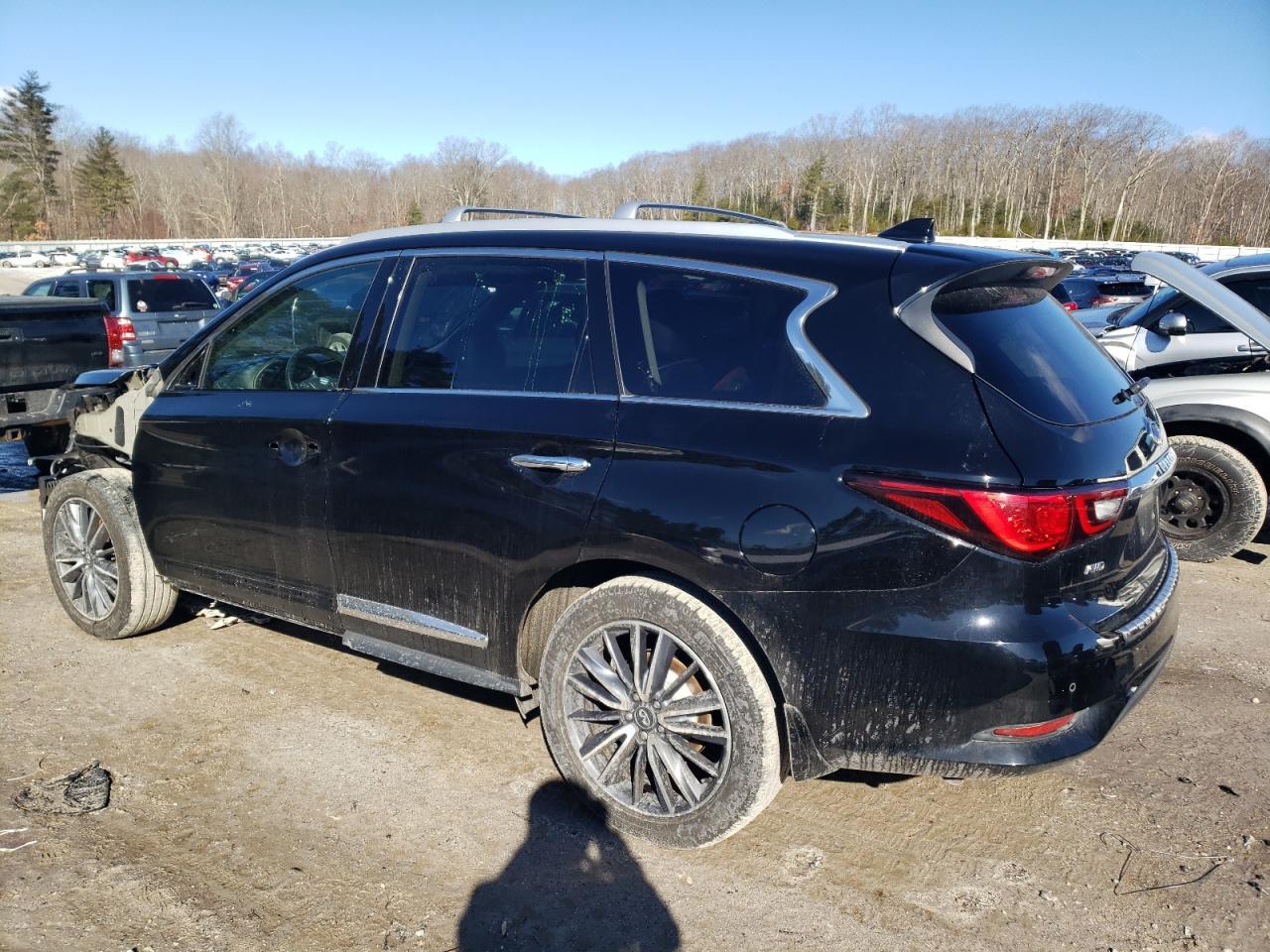 2019 INFINITI QX60 LUXE - Image 2