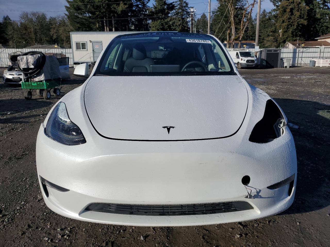 2023 TESLA MODEL Y - Image 5