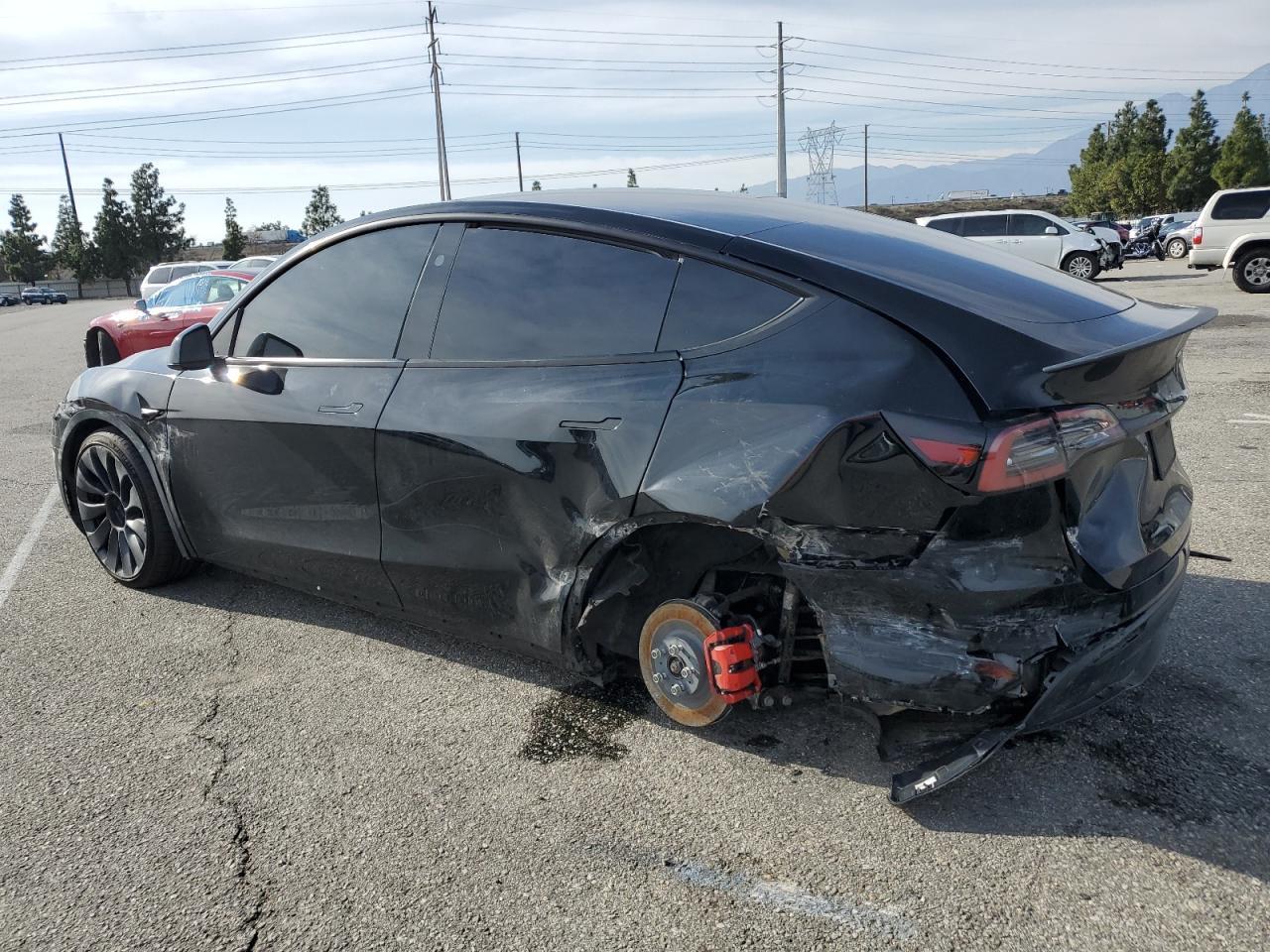 2024 TESLA MODEL Y - Фото 2