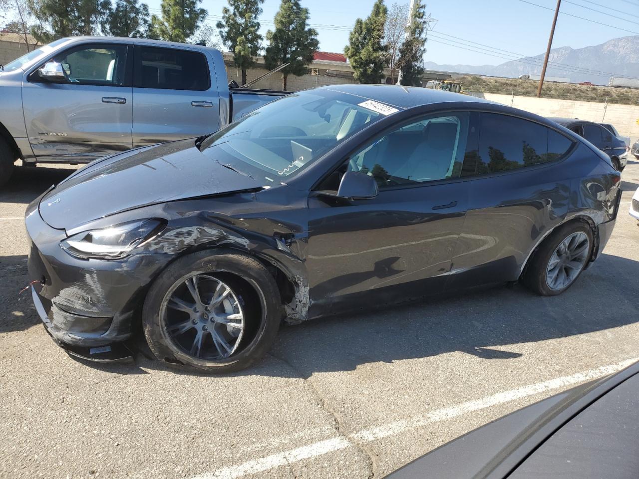 2025 TESLA MODEL Y