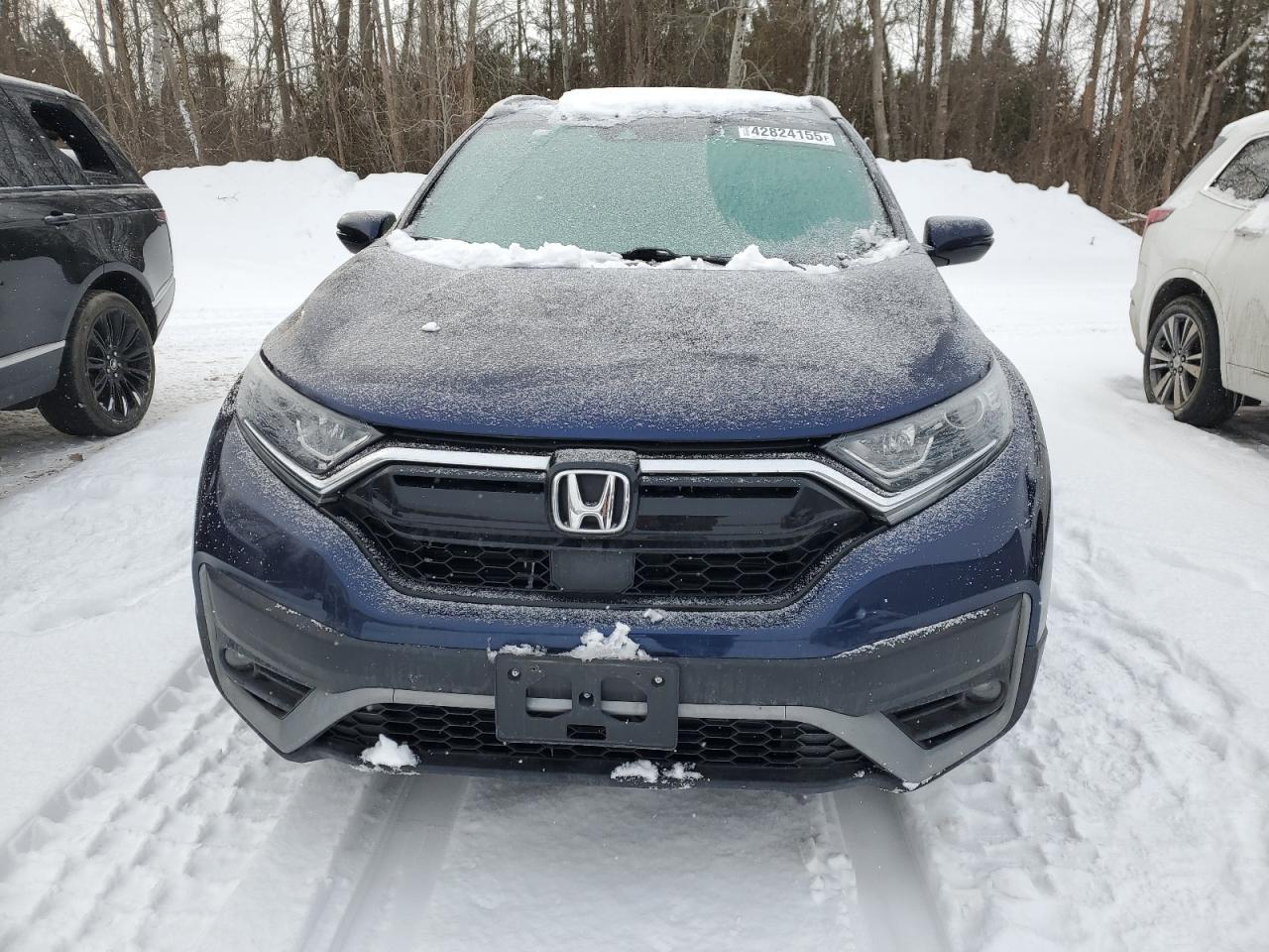 2020 HONDA CR-V EXL - Image 5