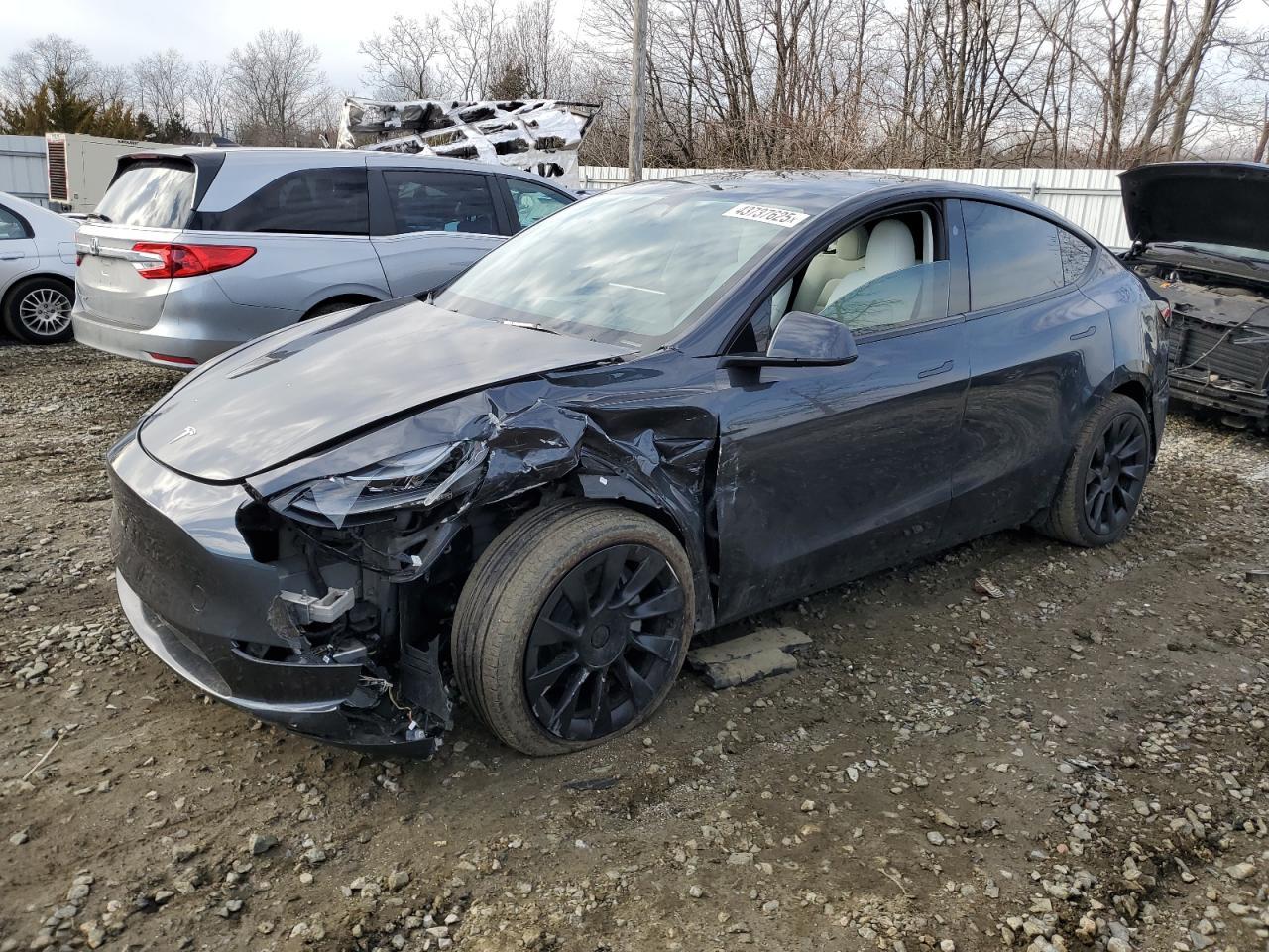 2024 TESLA MODEL Y