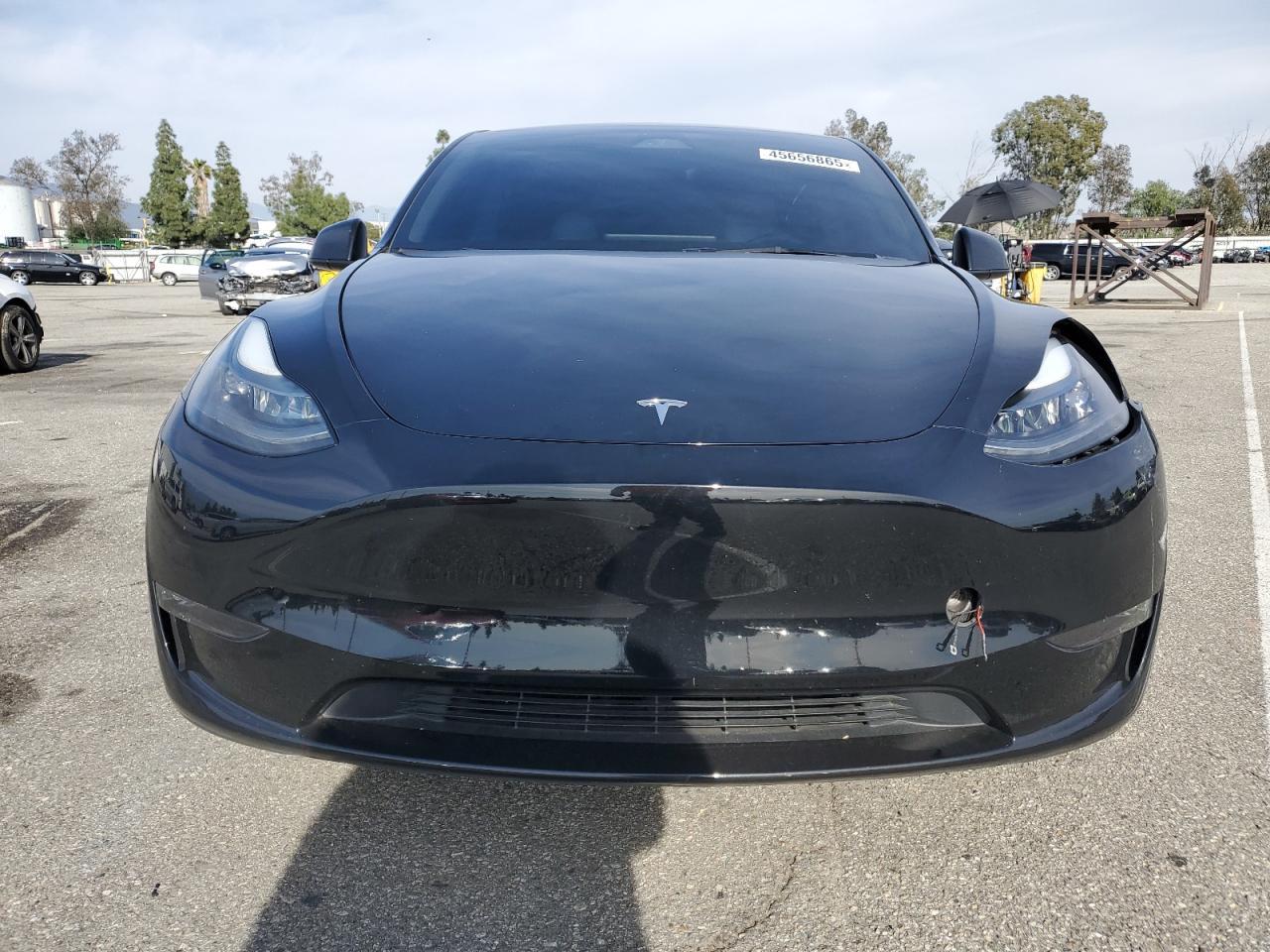 2024 TESLA MODEL Y - Фото 5