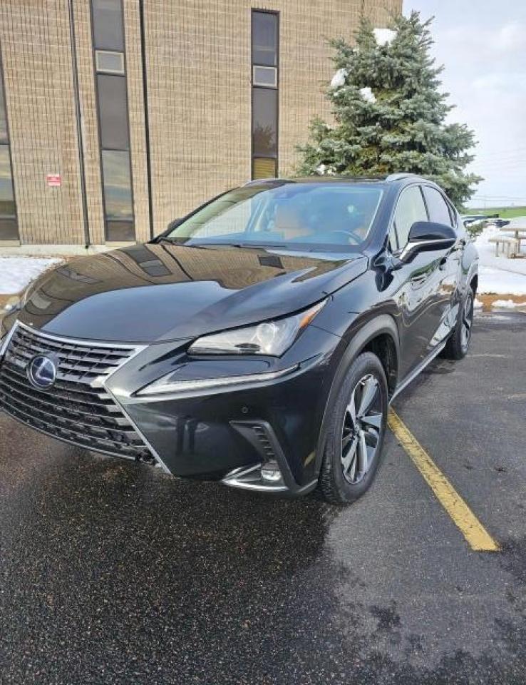 2020 LEXUS NX 300H - Image 2
