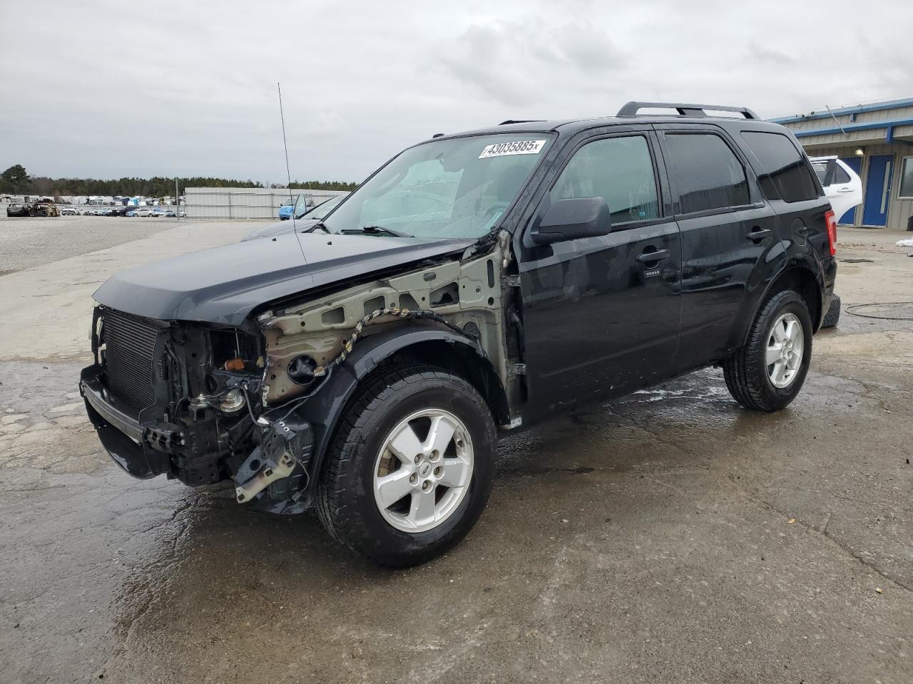 2010 FORD ESCAPE XLT