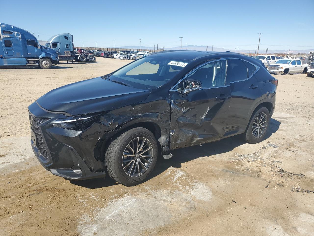 2024 LEXUS NX 350H BA