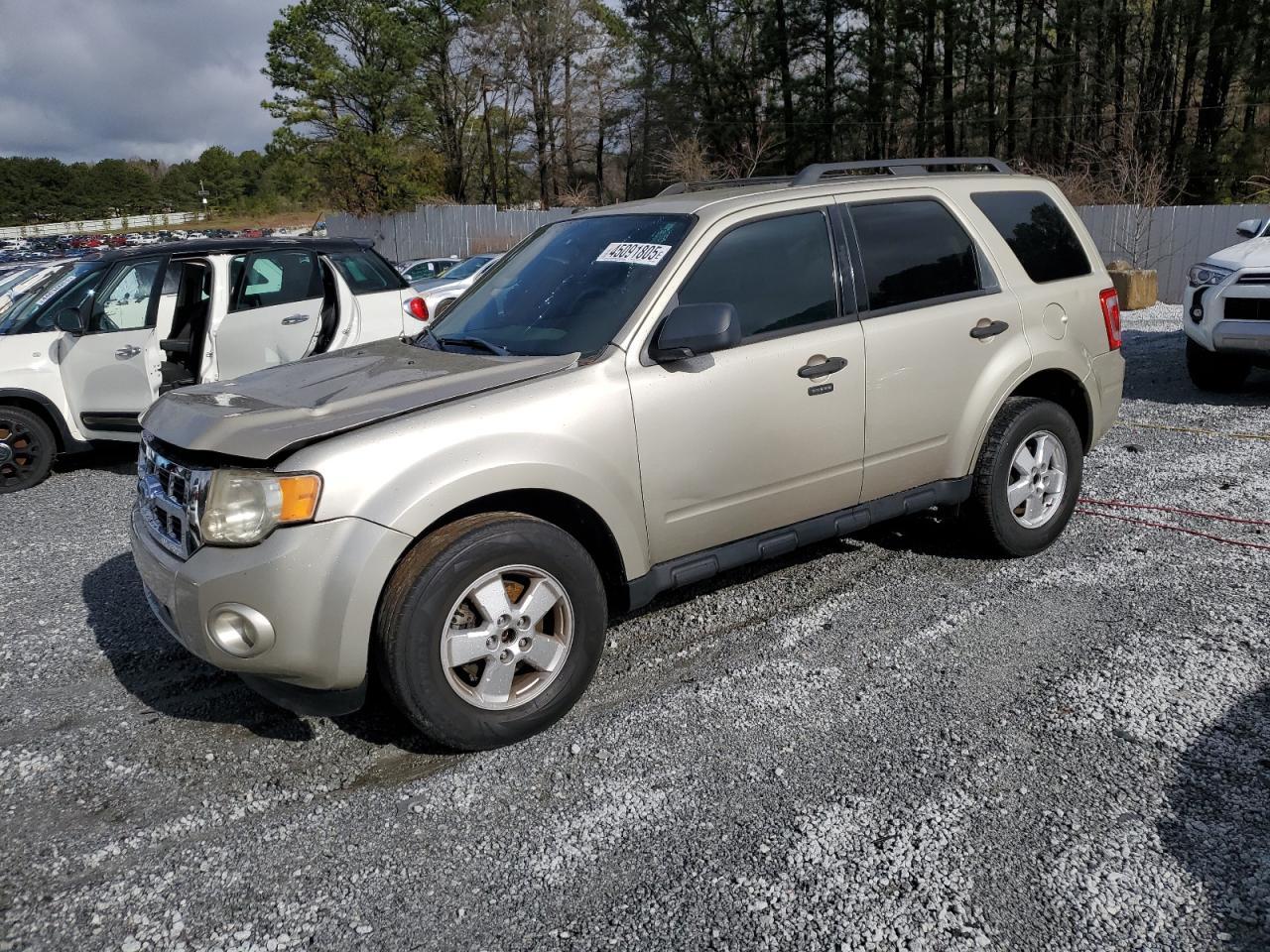 2010 FORD ESCAPE XLT