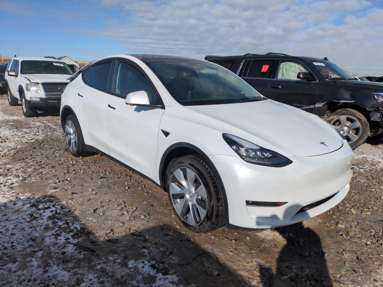 2023 TESLA MODEL Y - Фото 4