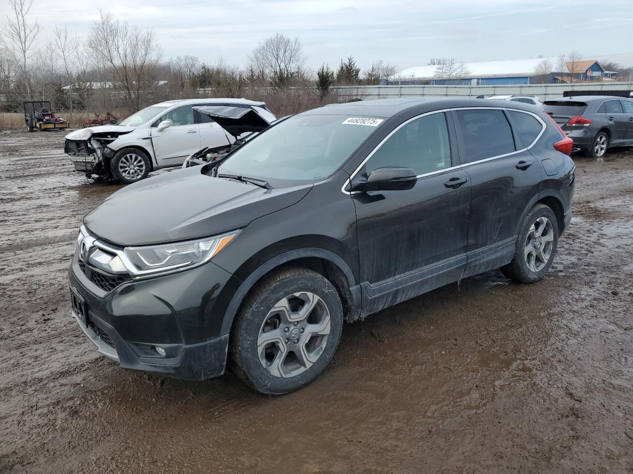 2019 HONDA CR-V EX