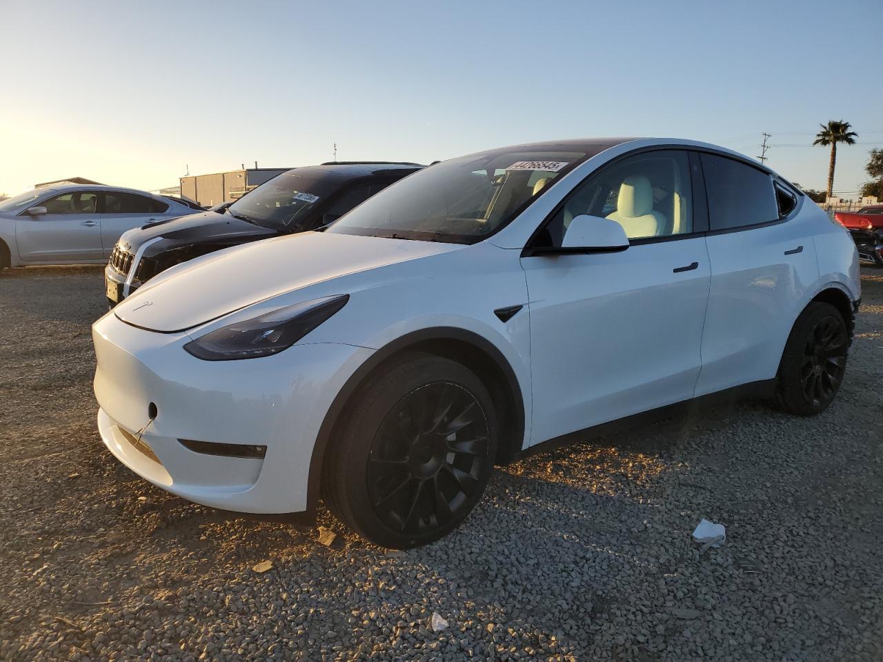 2023 TESLA MODEL Y