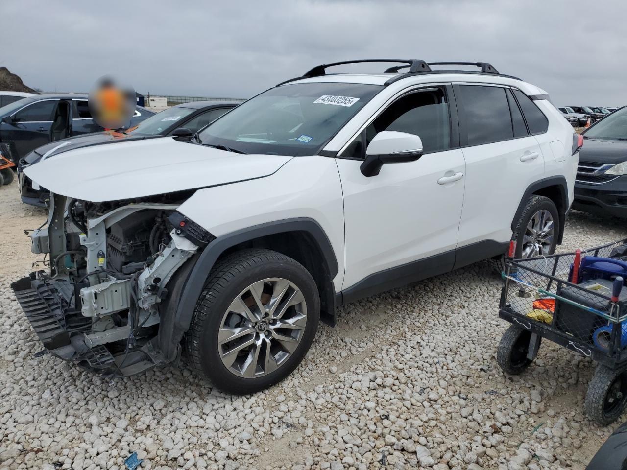 2019 TOYOTA RAV4 XLE P