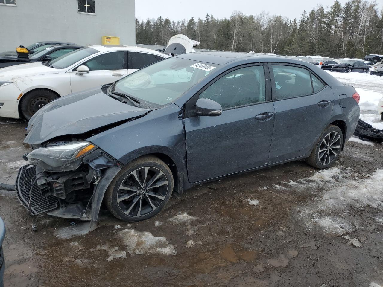 2019 TOYOTA COROLLA L