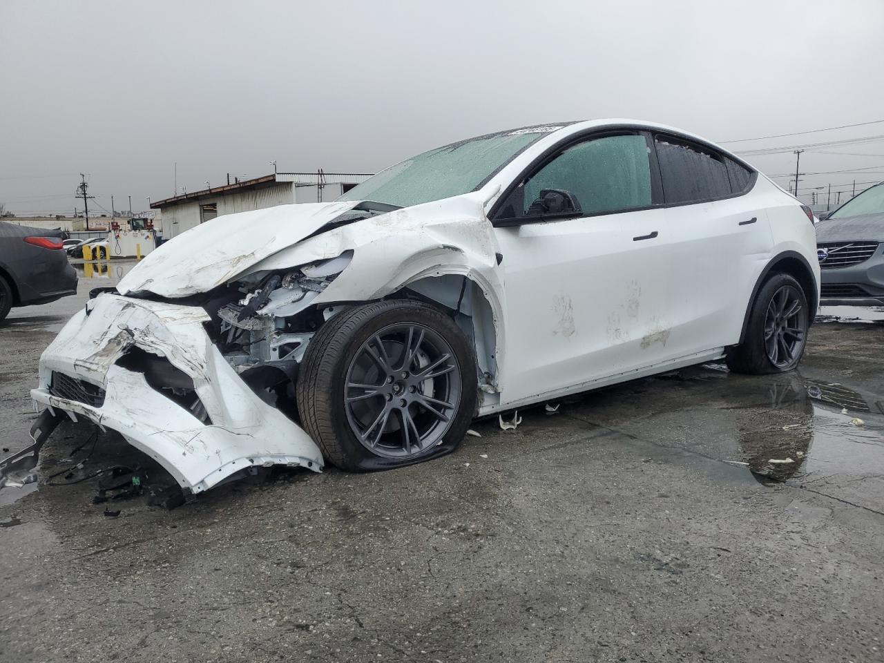 2024 TESLA MODEL Y