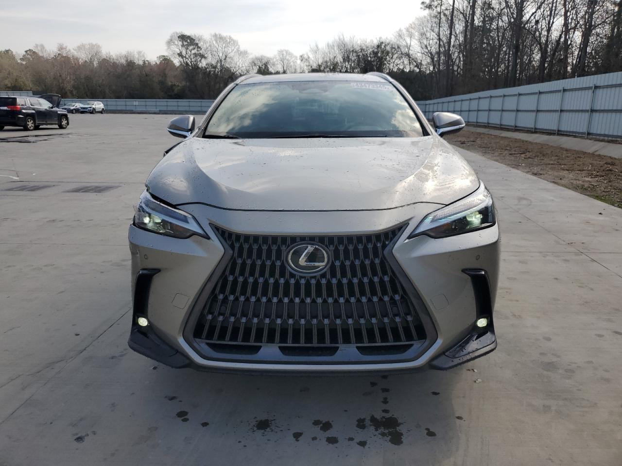 2023 LEXUS NX 350 - Image 5